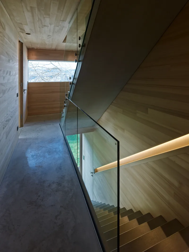 Doppelhaus von Hammerer Architekten
