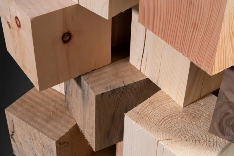 Pro Holz Skulptur von Hammerer Architekten