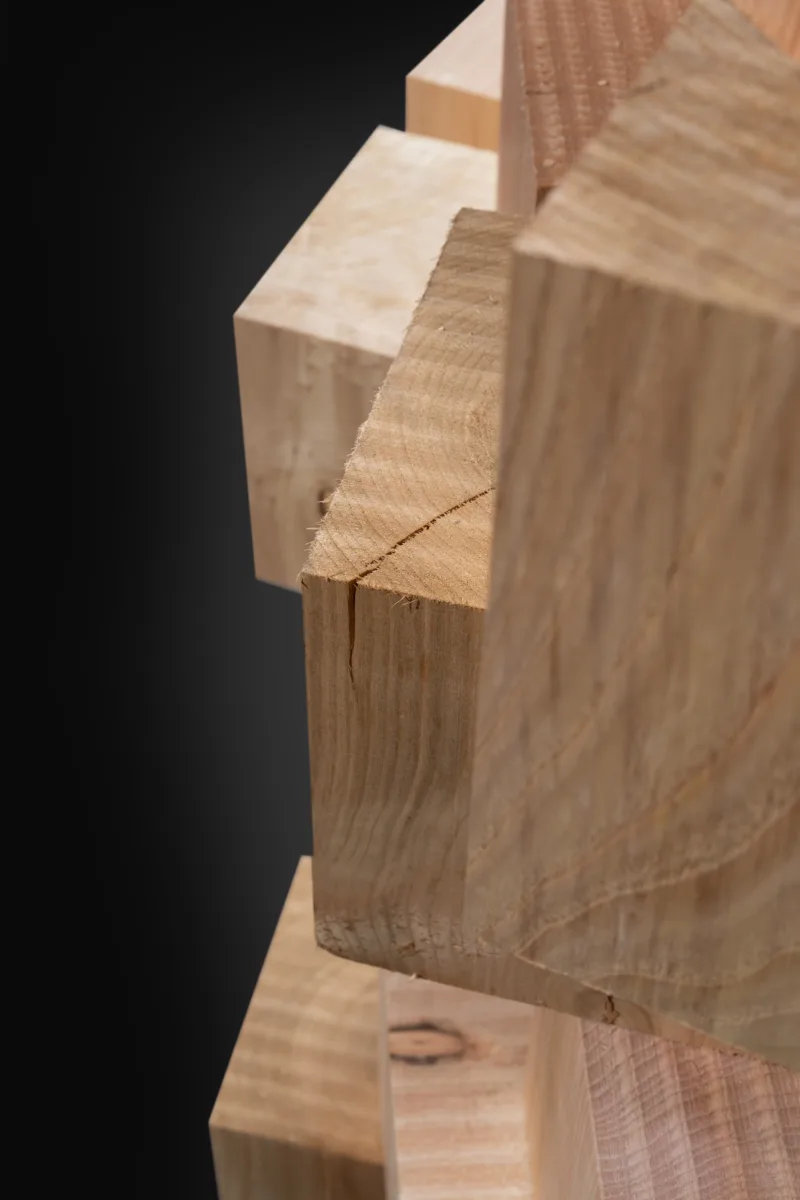 Pro Holz Skulptur von Hammerer Architekten