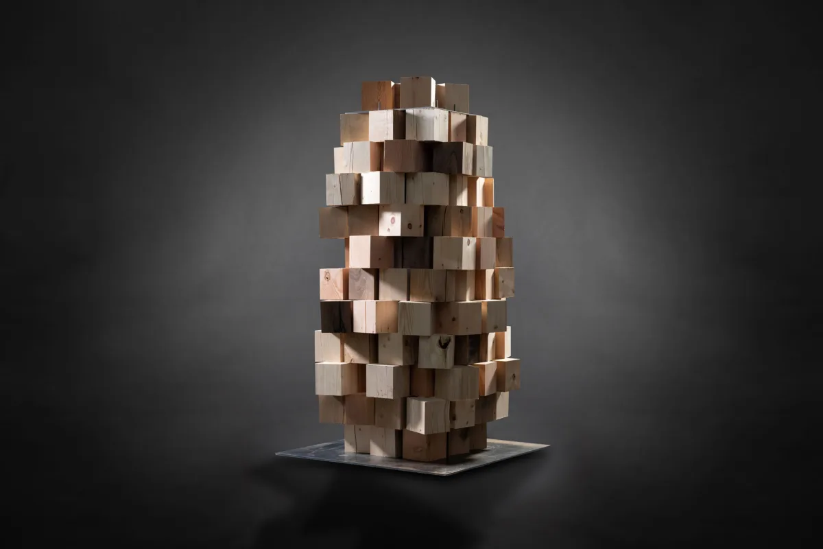 Pro Holz Skulptur von Hammerer Architekten