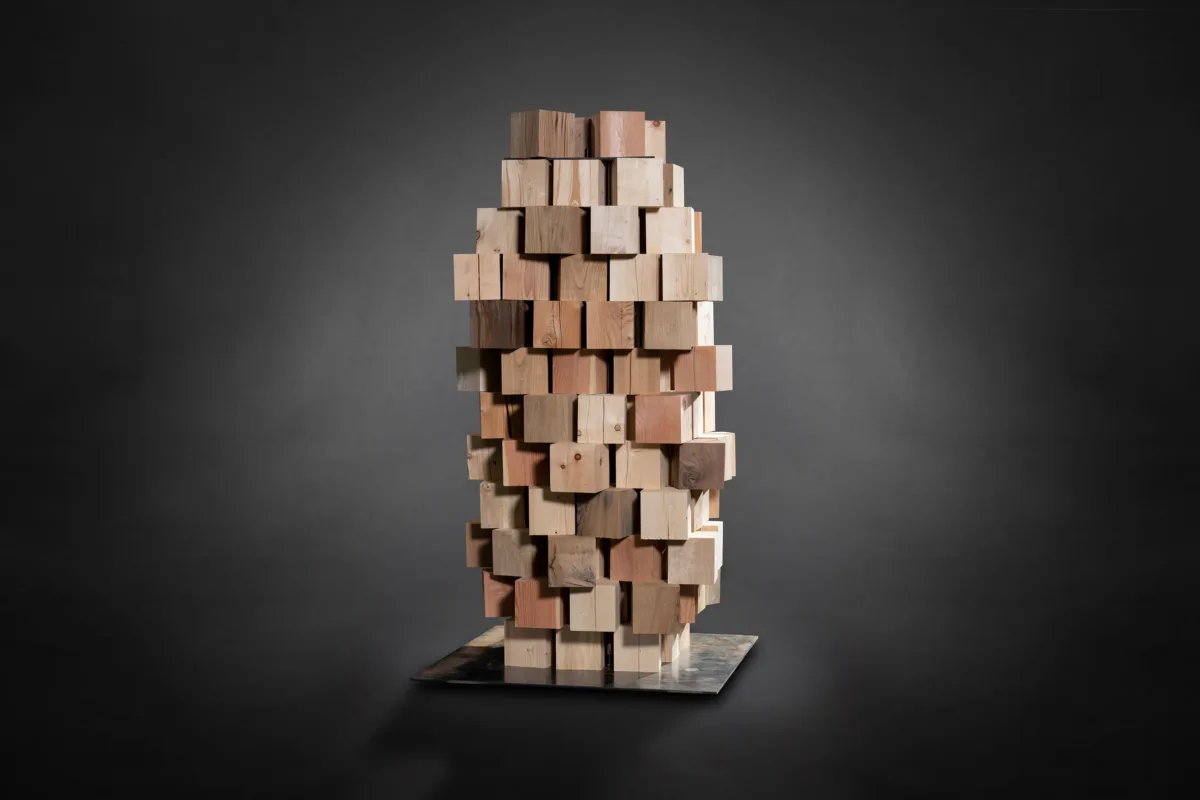 Pro Holz Skulptur von Hammerer Architekten