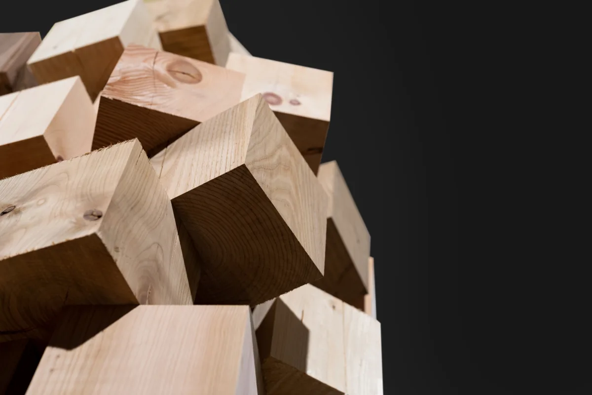 Pro Holz Skulptur von Hammerer Architekten