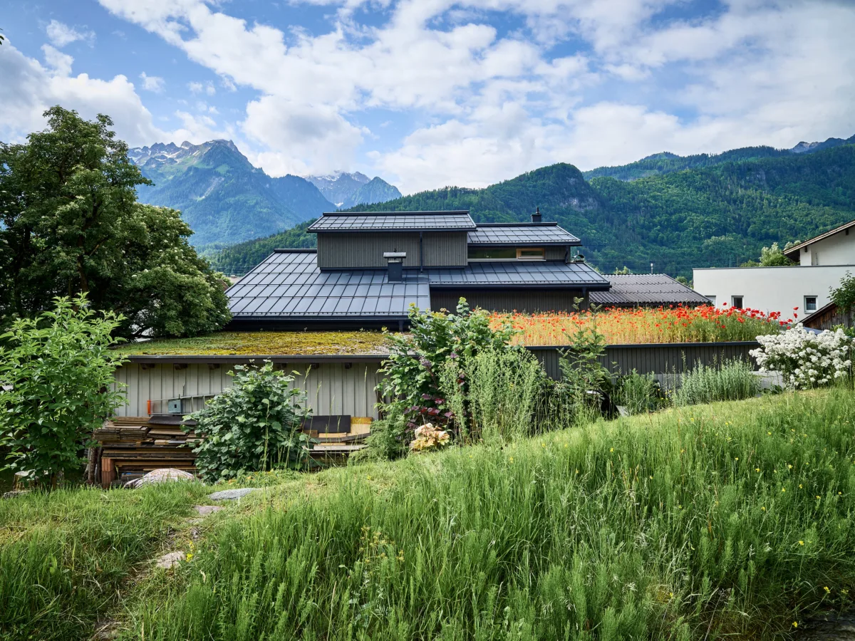 Rückzugsraum mit Bergblick von Hammerer Architekten